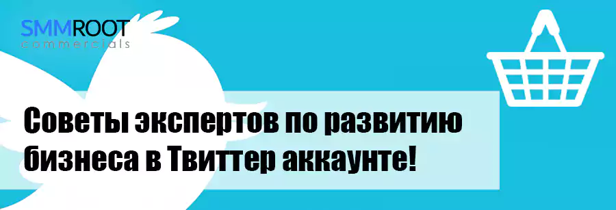 Раскрутка бизнеса в Твиттер