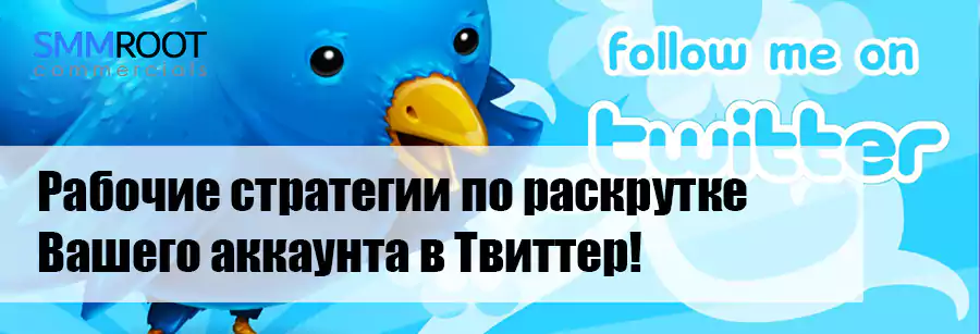 Раскрутка Твиттер по правилам маркетинга